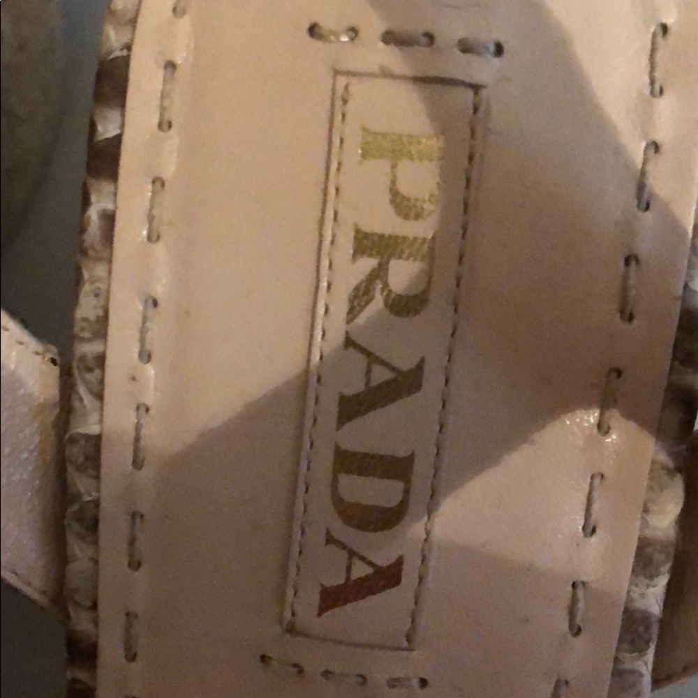 Prada - Picture 6 of 6